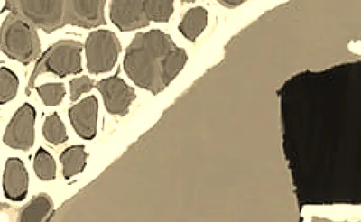 Akaash Singh